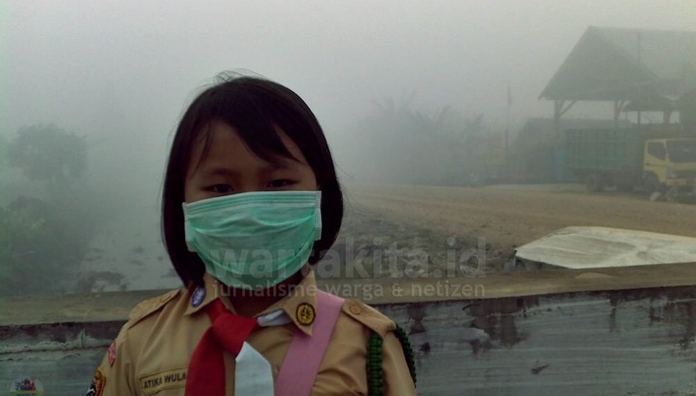 bnpb: hampir seluruh langit indonesia tertutup asap