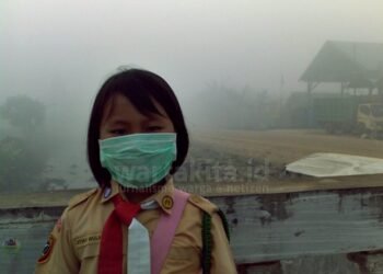 bnpb: hampir seluruh langit indonesia tertutup asap