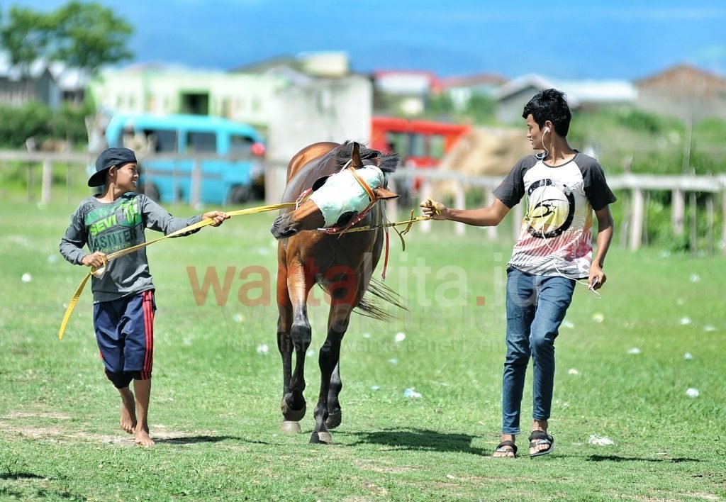 pacuan kuda tradisional di jeneponto