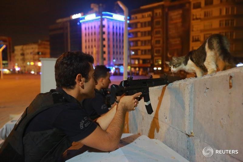 Seorang warga mencuit foto dari kantor berita Reuters, bahwa kucing lokal berpihak kepada kepolisian Turki yang menolak kudeta militer.