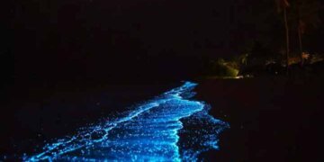 5 Tempat Di Dunia yang Ikut Menyehatkan Laut