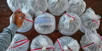 BPBAP Takalar Salurkan Bantuan Benih di Kabupaten Pangkep - Utama