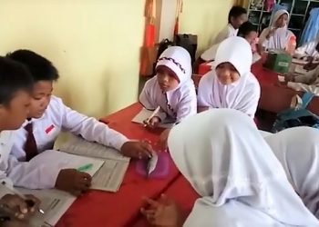 1 ikan