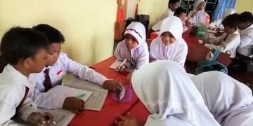 1 ikan