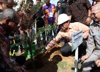Walikota tanam pohon
