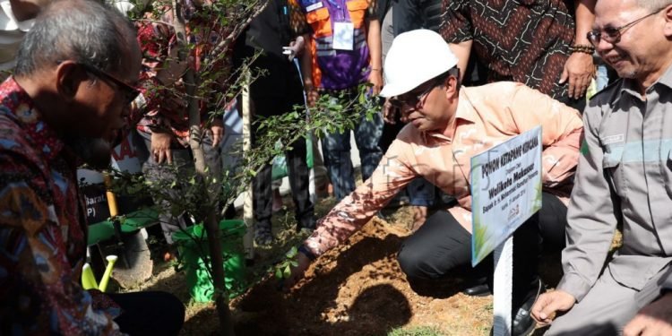Walikota tanam pohon