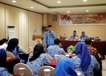 IMG-20190218-WA0007-01