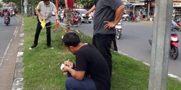 Camat Tamalanrea Turun Langsung Benahi Pembatas Taman