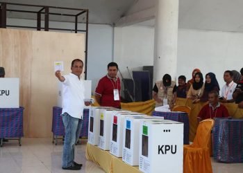 DP pemilu