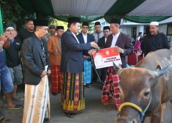 IMG-20190811-WA0059