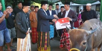 IMG-20190811-WA0059