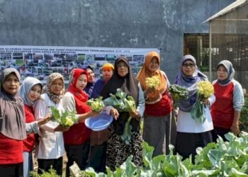 Dinas Ketahanan Pangan Kembangkan Kawasan Rumah Pangan Lestari