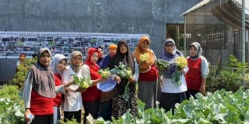 Dinas Ketahanan Pangan Kembangkan Kawasan Rumah Pangan Lestari