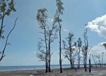 Peneliti Sebut Kejadian Alam Ini Berpotensi Picu Tsunami di Ibu Kota Baru