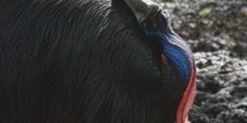 Konten Dewasa: Multiorgasme - Utama