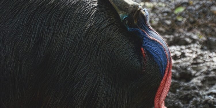 Konten Dewasa: Multiorgasme - Utama