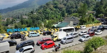 Wakil Bupati Bogor: Ada Rapid Test Di Puncak Saat Long Weekend - Utama
