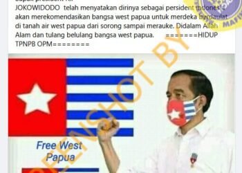 #CekFakta Jokowi Setuju Lepaskan Papua Barat