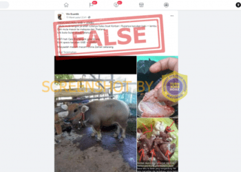 #CekFakta “Spesies hasil kawin babi dan lembu”