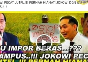 #CekFakta Jokowi Resuffle Kabinet, Menteri Lutfi Dipecat