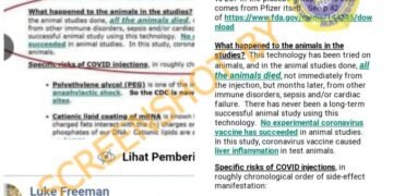 #CekFakta Seluruh Hewan Percobaan Vaksin Covid-19 Terbukti Mati Karena Suntik Vaksin