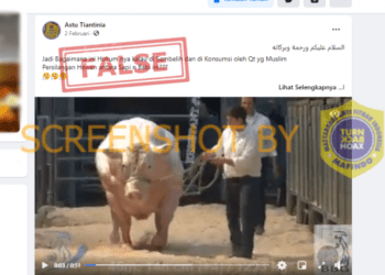 #CekFakta Video “Persilangan Hewan antara Sapi n Babi”