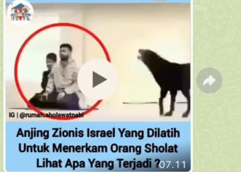 #CekFakta Anjing Zionis Dilatih untuk Menerkam Orang Sholat