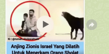 #CekFakta Anjing Zionis Dilatih untuk Menerkam Orang Sholat