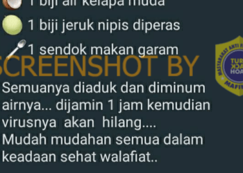 #CekFakta Campuran Air Kelapa Muda, Jeruk Nipis dan Garam dapat Menyembuhkan Covid-19