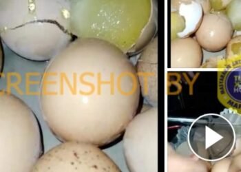 #CekFakta Telur Palsu Beredar di Pasaran