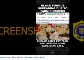#CekFakta Black Fungus Berasal dari Peternakan Ayam
