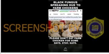 #CekFakta Black Fungus Berasal dari Peternakan Ayam