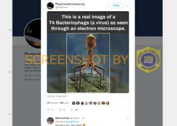 #CekFakta Gambar Asli Bacteriophage dari Mikroskop