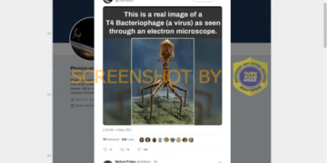 #CekFakta Gambar Asli Bacteriophage dari Mikroskop