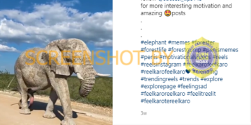 #CekFakta Video “Gajah Berkaki Lima”