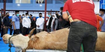 Bersama Plt Gub, Wali Kota Makassar Tinjau RPH Antang