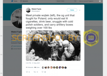 #CekFakta Foto Beruang Wojtek yang Berjuang untuk Polandia