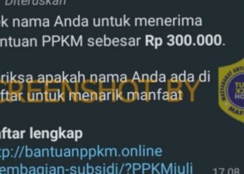 #CekFakta Link untuk pengecekan penerima bantuan PPKM Rp300