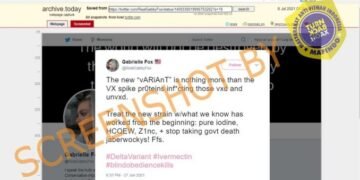 #CekFakta “Varian baru Covid-19 tidak lain dari infeksi protein spike dari vaksin”
