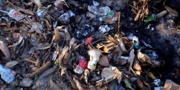 Menguntungkan Sekaligus Selamatkan Lingkungan: Bisnis Sampah Plastik - Utama