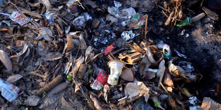 Menguntungkan Sekaligus Selamatkan Lingkungan: Bisnis Sampah Plastik - Utama