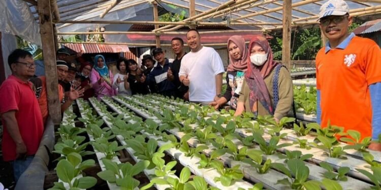 Camat Panakkukang Lakukan Pembinaan Lorong PKK di Tello Baru