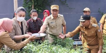 Andalkan Tanaman Hidroponik, Danny Pomanto Kunjungi Longwis Dewi Sari Zurich Tamalanrea - Utama