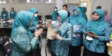 Aplikasi Dasawisa TP PKK Kota Makassar Tuai Pujian dari Tim Penilai TP PKK Prov Sulsel