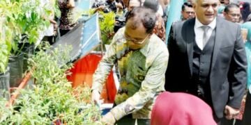 Bersama Tamu Belgia dan AS, Danny Kunjungi Lorong Taego Disambut Hangat oleh Warga - Utama