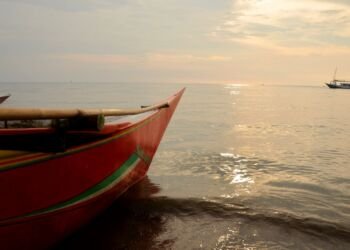 Mulai Besok Kandungan Biodiesel Dalam BBM Solar Naik 35%