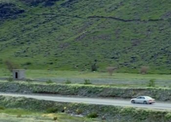 Perbukitan di Arab Saudi Kembali Hijau