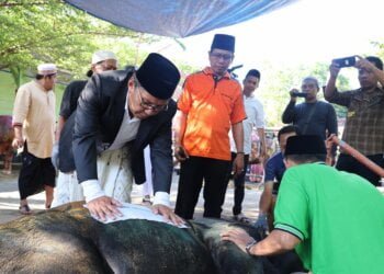 Danny Pomanto Saksikan Pemotongan Hewan Kurban dan Gelar Open House