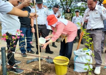 Galakkan Penghijauan, Ketua TP PKK Makassar Harap Hutan Kota Bertambah