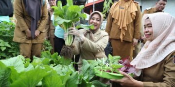 Fatmawati Rusdi Pantau Kesiapan Lomba Kelurahan Tingkat Kabupaten Kota 2023 - Utama